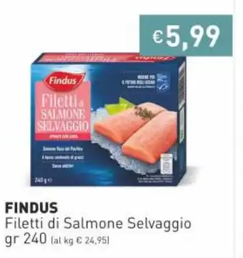 Prezzemolo e Vitale Findus Filetti Di Salmone Selvaggio gr 240 offerta