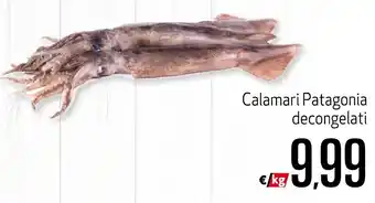 Calamari Patagonia