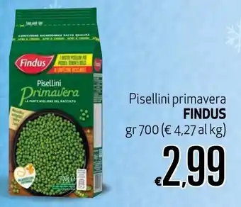 Maxi Supermercati Pisellini Primavera Findus gr 700 offerta