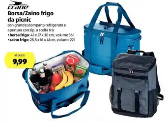ALDI Borsa/Zaino Da Picnic offerta