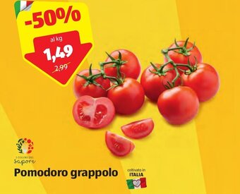 ALDI Pomodoro grappolo offerta