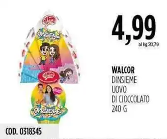 Carico Cash & Carry Walcor Dinsieme Uovo di Cioccolato 240g offerta