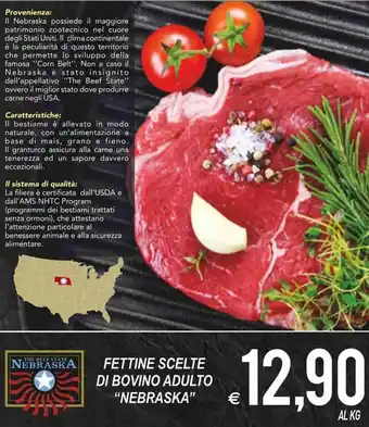 MD Discount Fettine Scelte di Bovino Adulto "Nebraska" offerta