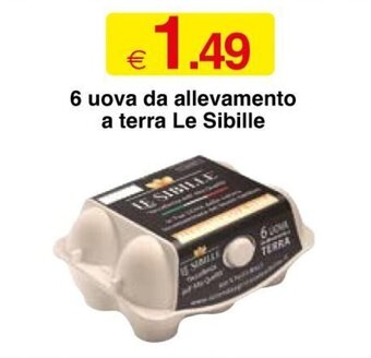 Le Sibille 6 Uova da allevamento a terra
