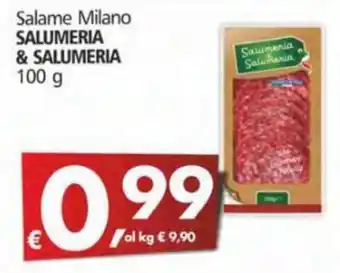 Alter Discount Salumeria & Salumeria Salame Milano 100 g offerta