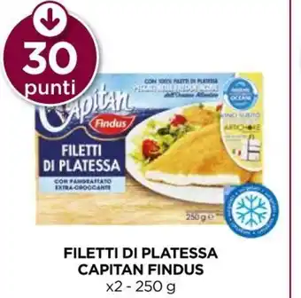 Unicoop Filetti Di Platessa Capitan Findus x 2 - 250g offerta