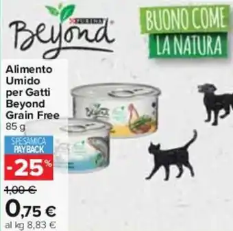 Carrefour Iper Purina Alimento Umido per Gatti Beyond Grain Free 85 g offerta