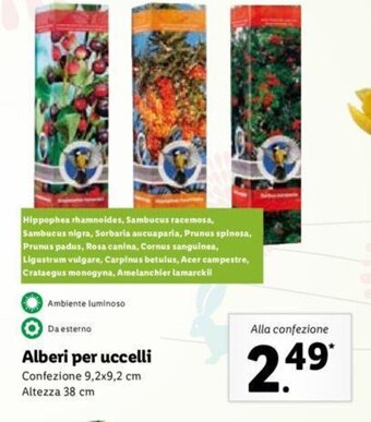Lidl Alberi per uccelli offerta