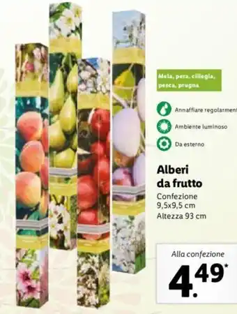 Lidl Alberi da frutto 9,5x9,5 cm offerta