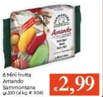 Famila 6 Mini Frutta Amando Sammontana gr 330 offerta