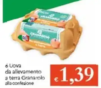 Famila 6 Uova Da Allevamento offerta