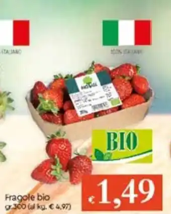 Famila Fragole Bio gr 300 offerta