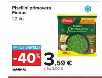 Carrefour Iper Piselli primavera findus offerta