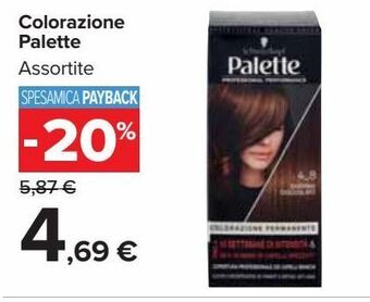 Colorazione palette