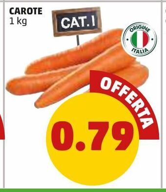 PENNY Carote 1 kg offerta
