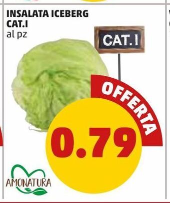 PENNY Insalata iceberg cat i al pz offerta