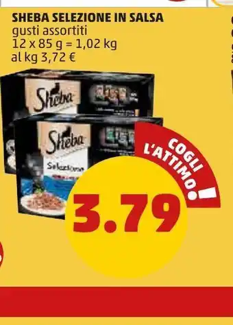 Sheba selezione in salsa gusti assortiti 12x85g