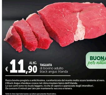 Deco Supermercati Tagliata di bovino adulto black angus irlanda offerta