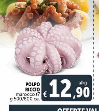 Deco Supermercati Polpo riccio offerta