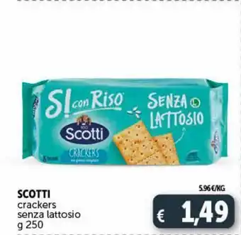 Deco Supermercati Crackers senza lattosio g 250 scotti offerta