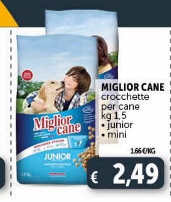 Deco Supermercati Crocchette per cani miglior cane offerta