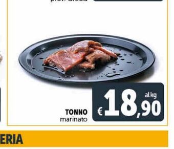 Deco Maxistore Tonno marinato offerta