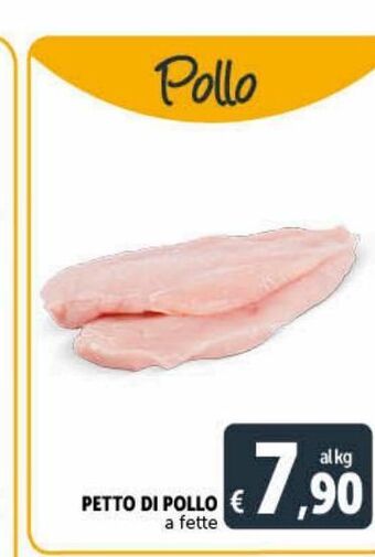 Deco Maxistore Petto di pollo offerta