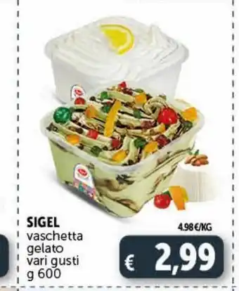 Deco Supermercati Vaschetta di gelato sigel offerta