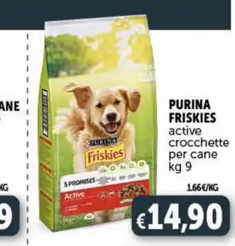 Deco Supermercati Crocchette purina friskies offerta
