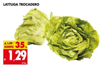 Tigros Lattuga Trocadero offerta