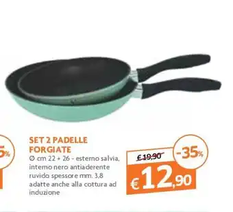 Famila Set 2 Padelle Forgiate 22+26cm offerta