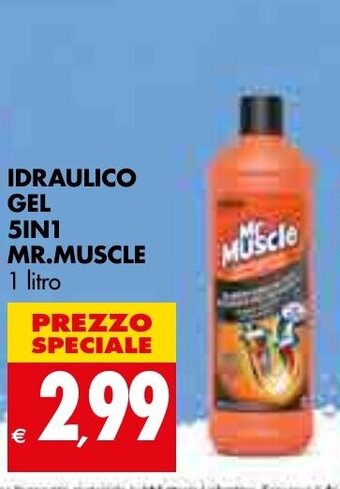 Mr. Muscle Idraulico Gel 5in1 1 litro