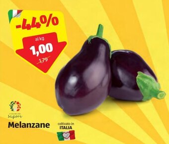 ALDI Melanzane offerta