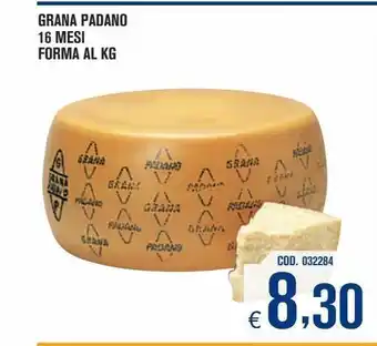 Grana padano 16 mesi forma al kg