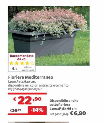 Bricocenter Fioriera mediterraneo offerta