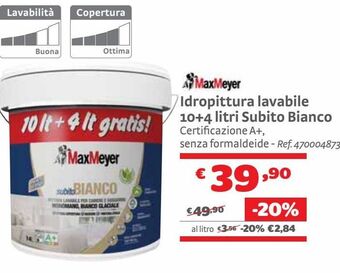 Bricocenter Vernice offerta