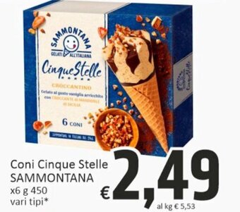 Paghi Poco Sammontana Coni Cinque Stelle x6 450 g offerta