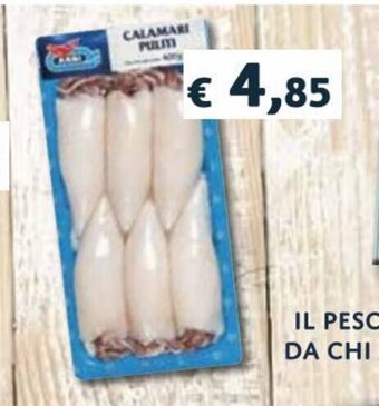 Coop Arbi Calamari offerta