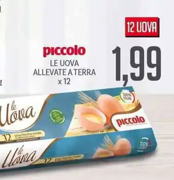 Supermercati Piccolo Piccolo Le Uova Allevate a Terra x 12 offerta