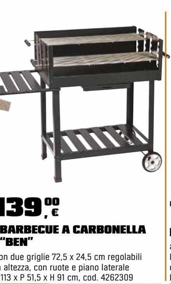 OBI Barbecue a carbonella offerta
