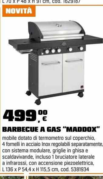 OBI Barbecue a gas offerta