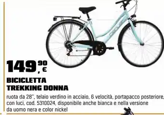 Bicicletta trekking