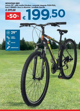 Mountain bike