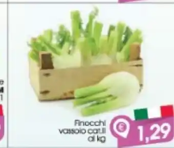 Finocchi vassoio cat. iii