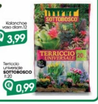 Terriccio universale sottobosco