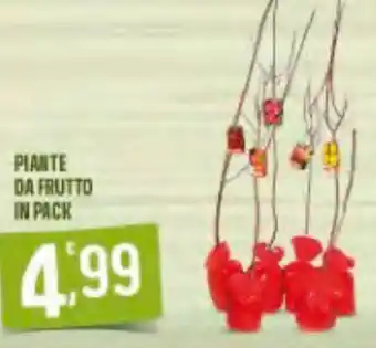 Piante da frutto in pack