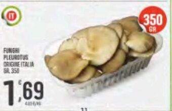 Funghi pleurotus