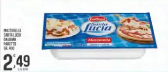 Despar Mozzarella santa lucia galbani panetto offerta