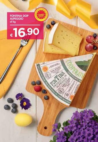 Fontina dop alpeggio