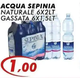 Sepinia Acqua 6x1,5 lt